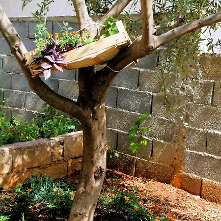 Rafael Гостевой дом Ксамил