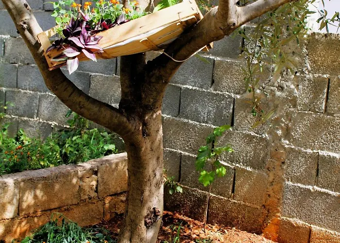 Rafael Gasthof Ksamil