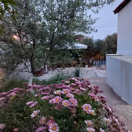 Rafael Pensionat Ksamil